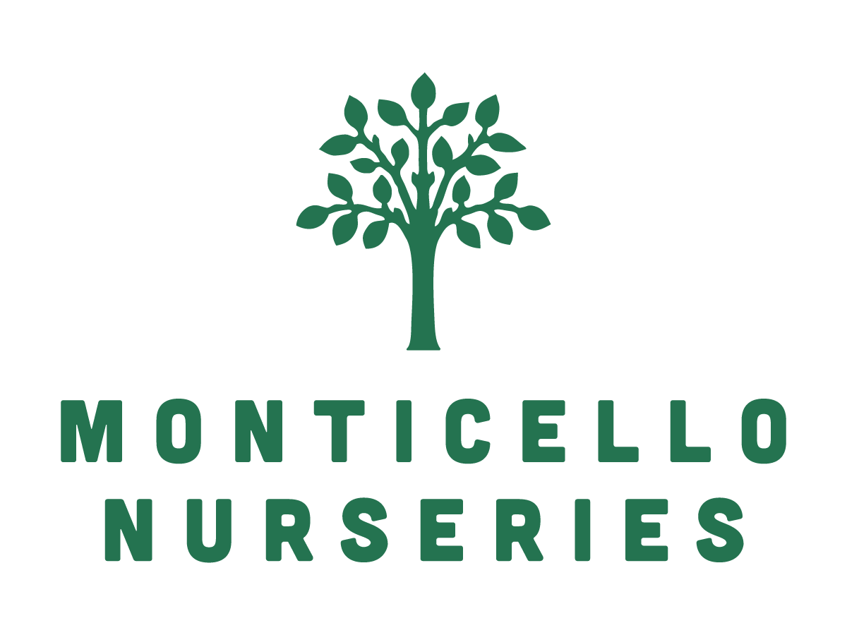 Monticello Wholesale Nursery - 